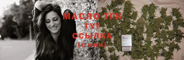 тгк Каменск-Шахтинский