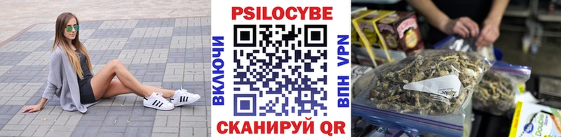 как найти закладки  Славянск-на-Кубани  Псилоцибиновые грибы Magic Shrooms 