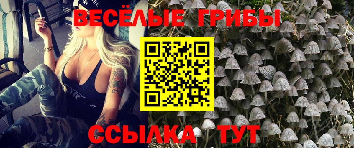 Славянск-на-Кубани  Галлюциногенные грибы Psilocybine cubensis  Галлюциногенные грибы MAGIC MUSHROOMS  Вход с VPN 