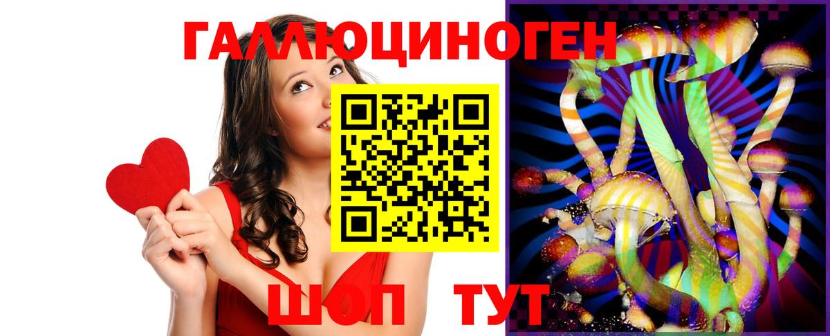Галлюциногенные грибы Cubensis Славянск-на-Кубани